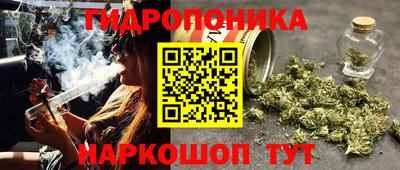mdpv Шелехов